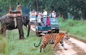 Beautiful 5 Days Nainital Beach Trip Package | corbett, Nainital Trip ...