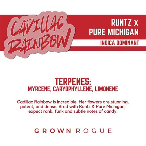 Buy Cadillac Rainbow Reserve 3.5g Buds | 3.5g | Grown Rogue | Cannabis Maplewood