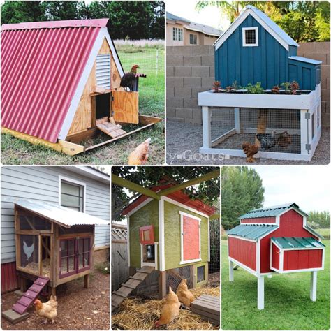 40 Free DIY Chicken Coop Plans and Ideas - Suite 101