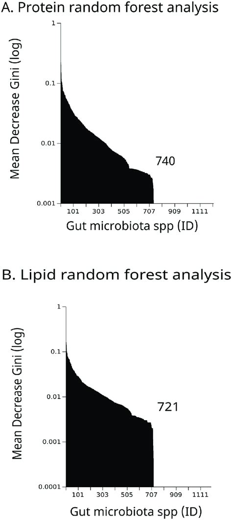 Random Forest Python Gini 的图像结果