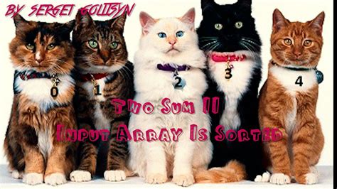 Two Pointers Java 的图像结果