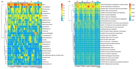 Micro/Nanoplastics Alter Daphnia magna Life History by Disrupting ...