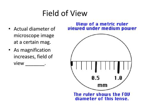 Field of View Microscope 的图像结果