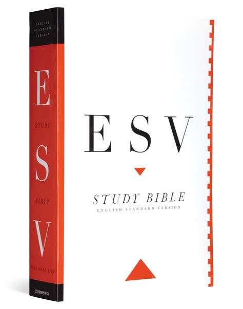 Study Bible-ESV : Crossway: Amazon.in: Fashion