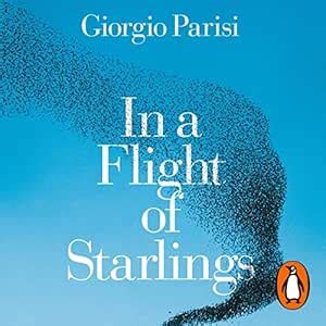 In a Flight of Starlings: The Wonder of Complex Systems (Audio Download ...