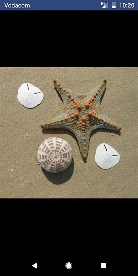 LITANGA ISLAND CULTURAL TOURS (2025) All You Need to Know BEFORE You Go ...