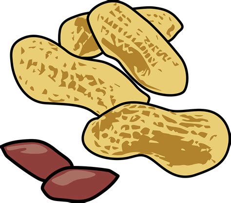 Peanut Clip Art