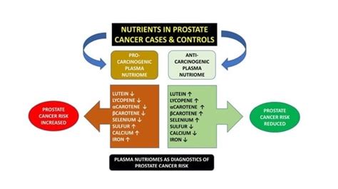 Image result for Selenium Prostate Cancer