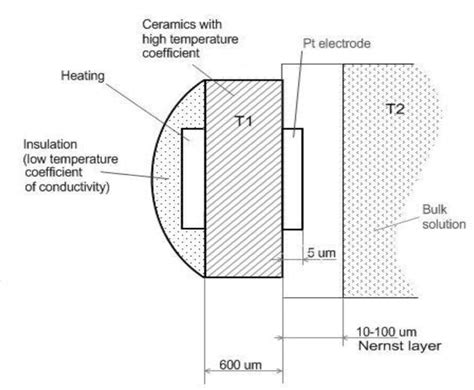 Voltammetry under a Controlled Temperature Gradient