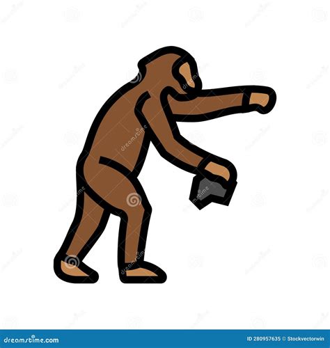 Image result for Human Evolution Australopithecus