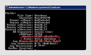 Professional Email Repair Services
