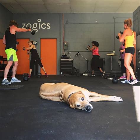 Zogics Office Photos