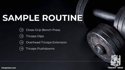 Image result for Tricep Workout Routine