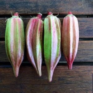 The Farm People Lady Finger Seed Price in India - Buy The Farm People ...