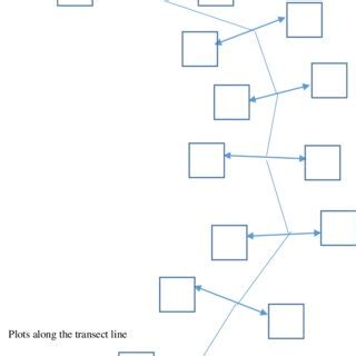 Image result for Transect Method