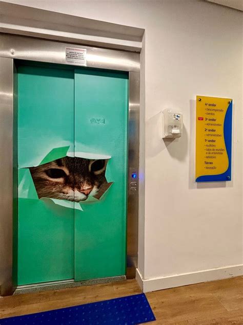 Petz Office Photos | Glassdoor