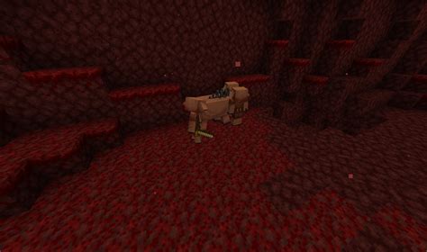 Image result for Minecraft Nether Update