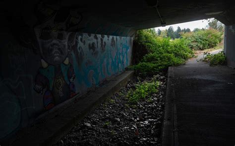 Mining expansion project in DuPont threatens popular trail | Tacoma ...