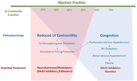DELIVERing Therapeutic Efficacy Across the Ejection Fraction Spectrum of Heart Failure | Circulation - what is ejection fraction