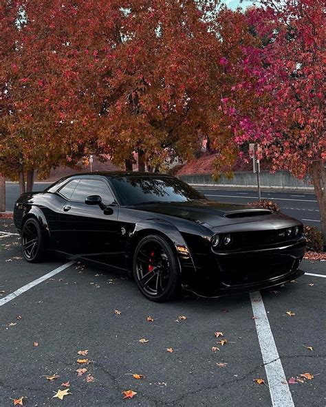 Pin by Asuji Kaiwa on Dodge Demon SRT Wide body | Dodge, Dodge challenger, Luxury cars