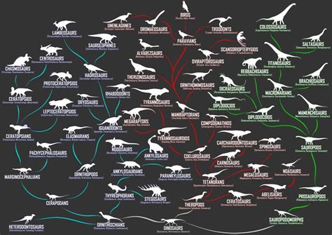 Dinosaur Evolution 的图像结果