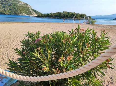 Rekordne brojke, a prazne plaže | Bloomberg Adria