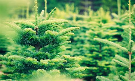 Trash N Dash in Houston | Groupon