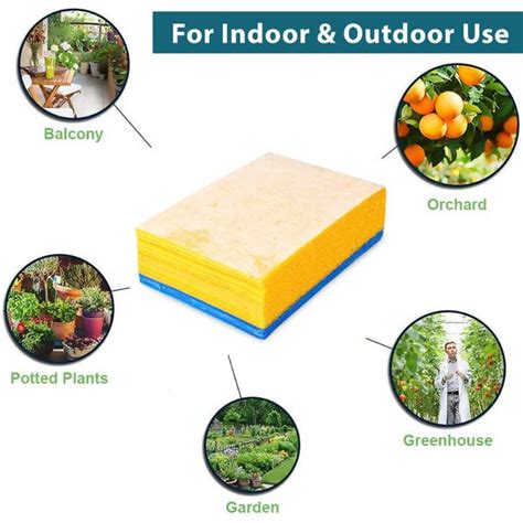 Sticky Trap for Insects (5 Blue + 20 Yellow) – Organicbazar