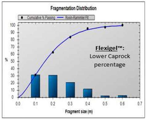 Image result for Sample Fragmentation