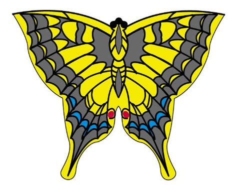 New Tech Kites Swallowtail NTK54026 : Amazon.in: Toys & Games