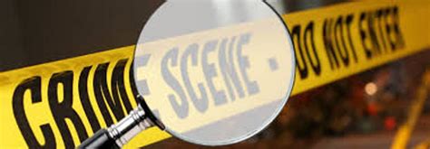 Crime 的图像结果