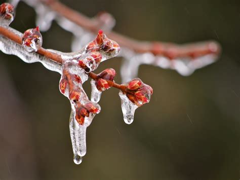 Uxbridge's weather forecast for December 9: Freezing rain throughout ...