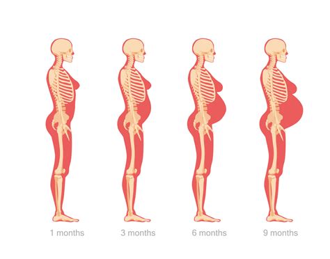 Hard Abdomen During Pregnancy