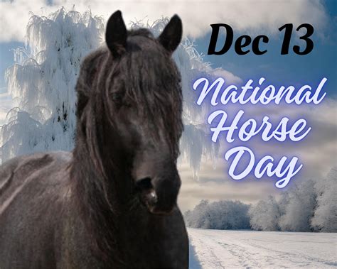 Every Day is Horse Day at Equine Guelph – The Horse Portal