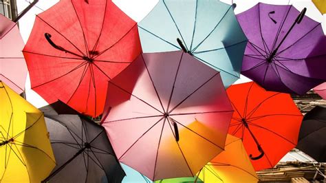 Who invented umbrella :पावसाळ्यात वापरणाऱ्या छत्रीचा अविष्कार कोणी केला ...