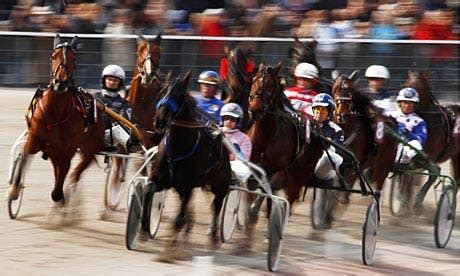Australian harness: Albion Park on tap | TwinSpires
