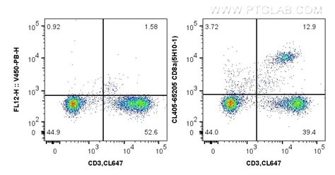 CD8a antibody (CL405-65205) | Proteintech