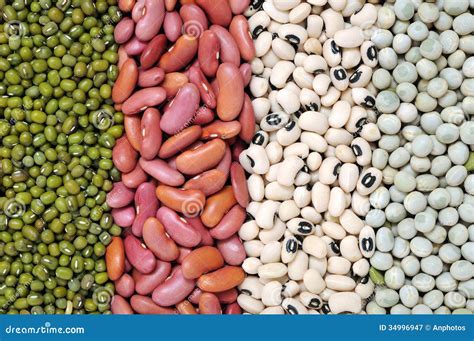 Difference Between Southern Pea And Bean at Bryan Northern blog