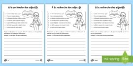 Activité de tri : Les adjectifs qualificatifs