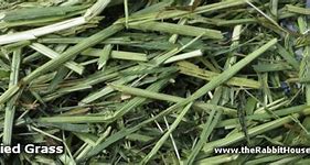 Image result for Rabbit Hay