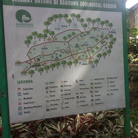 Mengunjungi Kebun Binatang Bandung Untuk Yang Kedua kalinya