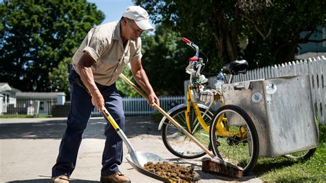 Horse Droppings being scooped up