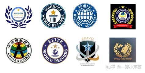 世界纪录认证机构排名 - 知乎