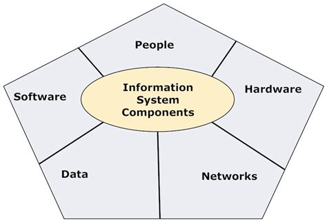 Image result for Two Basic Information System Components