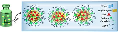 Lignin-Stabilized Doxorubicin Microemulsions: Synthesis, Physical ...