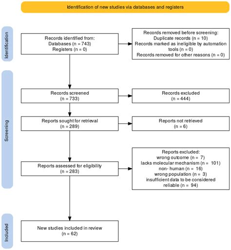 New Frontiers in the Pathophysiology of Hypertensive Pregnancy ...