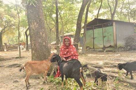 About Us - Good Neighbors Bangladesh