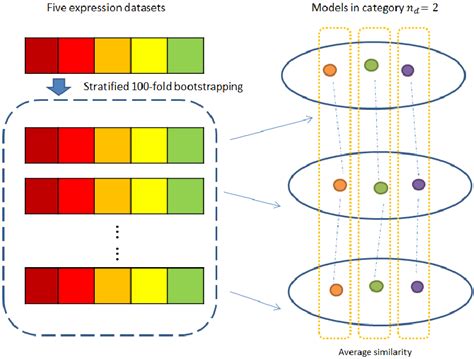 Stability Triangle Model 的图像结果