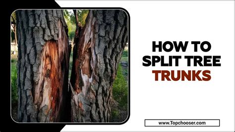 Image result for Easy Way Splitting Tree Trunks