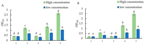 Evaluation of the Antifungal and Biochemical Activities of Fungicides ...